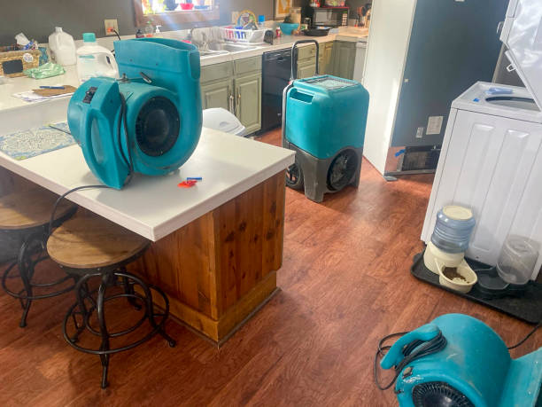 Best Basement water damage restoration  in Roman Forest, TX