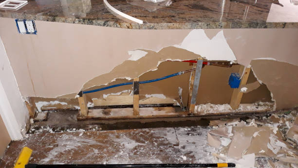 Best Sewage cleanup and water damage restoration  in Roman Forest, TX