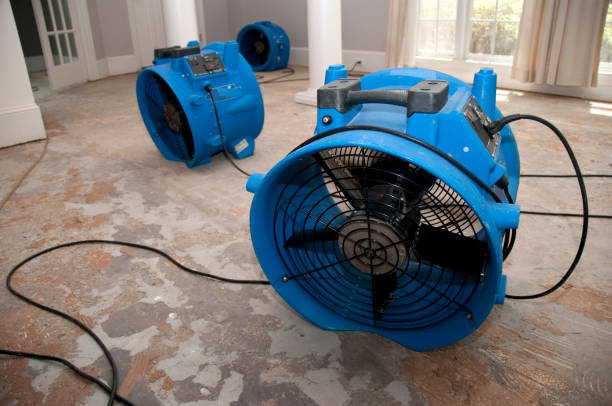 Best Ceiling water damage repair  in Roman Forest, TX