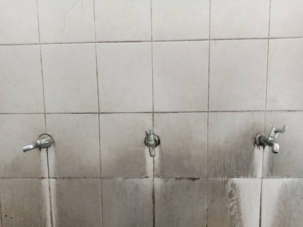 Best Carpet water damage restoration  in Roman Forest, TX