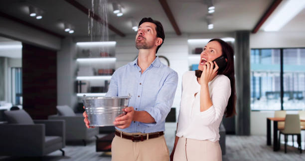 Best Residential water damage restoration  in Roman Forest, TX