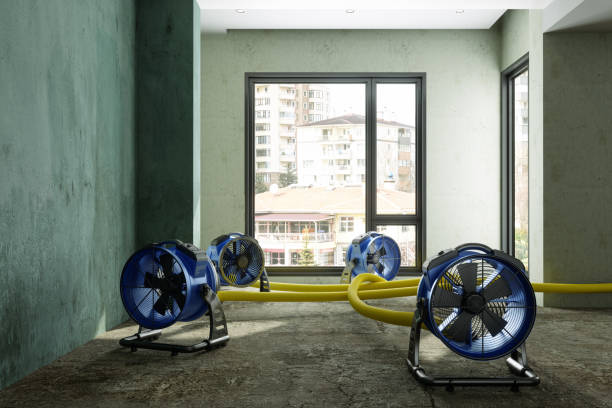 Best Flood restoration services  in Roman Forest, TX