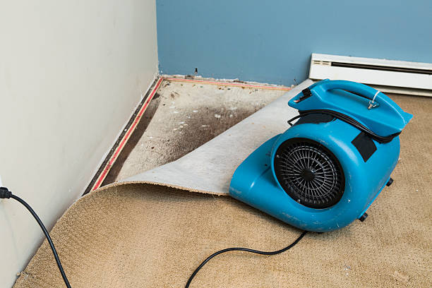 Fire Damage Restoration in Roman Forest, TX